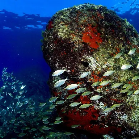 Le Tre Ninfe - Centro Storico Tatil Evi Riposto